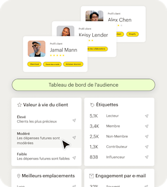 Interface utilisateur simplifiée de Mailchimp affichant le tableau de bord d’audience et les outils de segmentation. Les entreprises peuvent obtenir des informations clés sur chaque client, par exemple s’il s’agit d’un client local ou très actif par e-mail, ainsi que des statistiques sur l’ensemble de leur audience, notamment la valeur vie client, les balises, la localisation et les niveaux d’engagement, le tout présenté de manière claire et compréhensible.